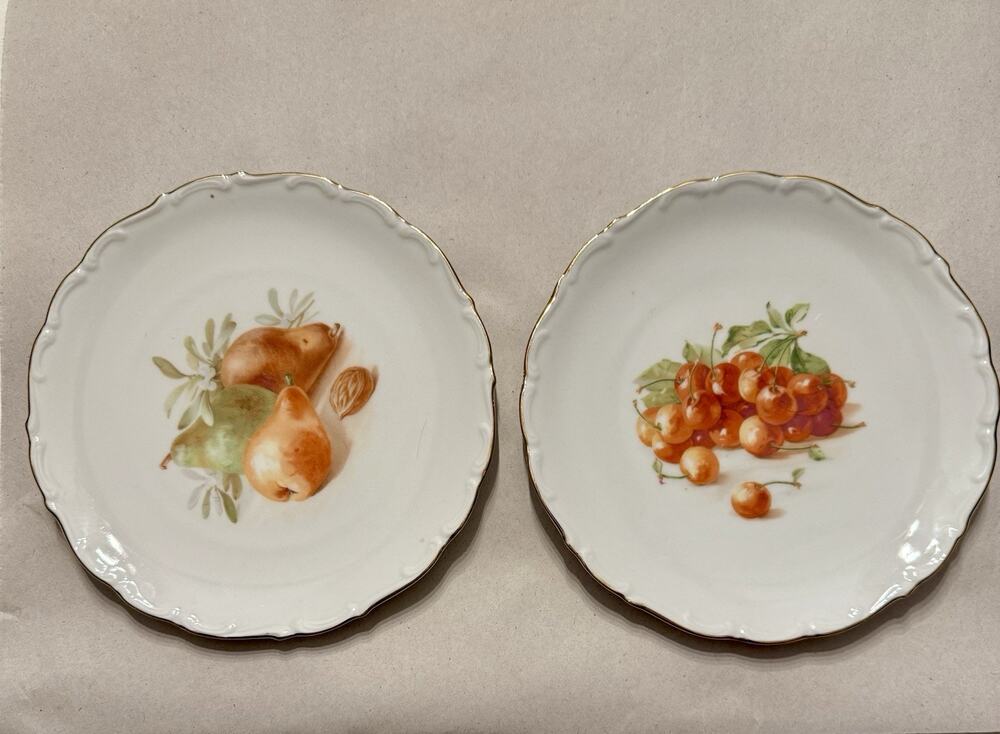 Schumann Arzberg Porcelain Fruit Dessert Plates Set of 2 Glossy Round 7”